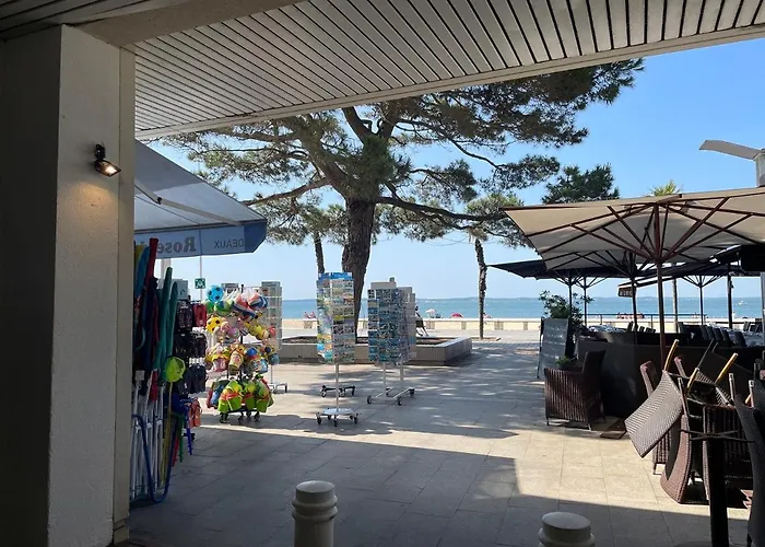 Cosy En Hyper Centre Apartment