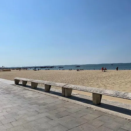 Appartement Cosy En Hyper Centre Arcachon